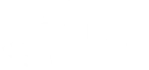 TSE Logo